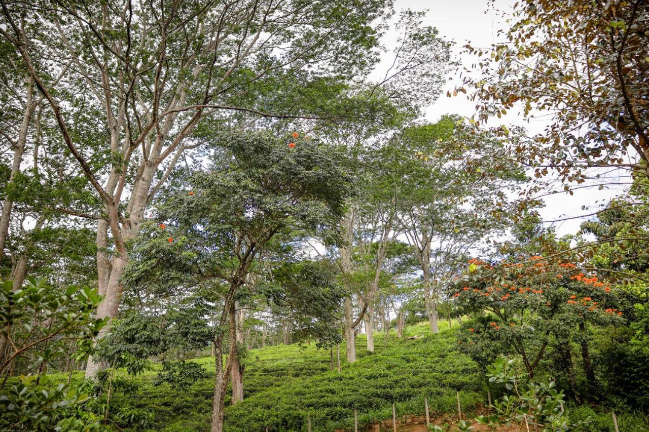 Tranquilisle Hotel Kandy Luaran gambar