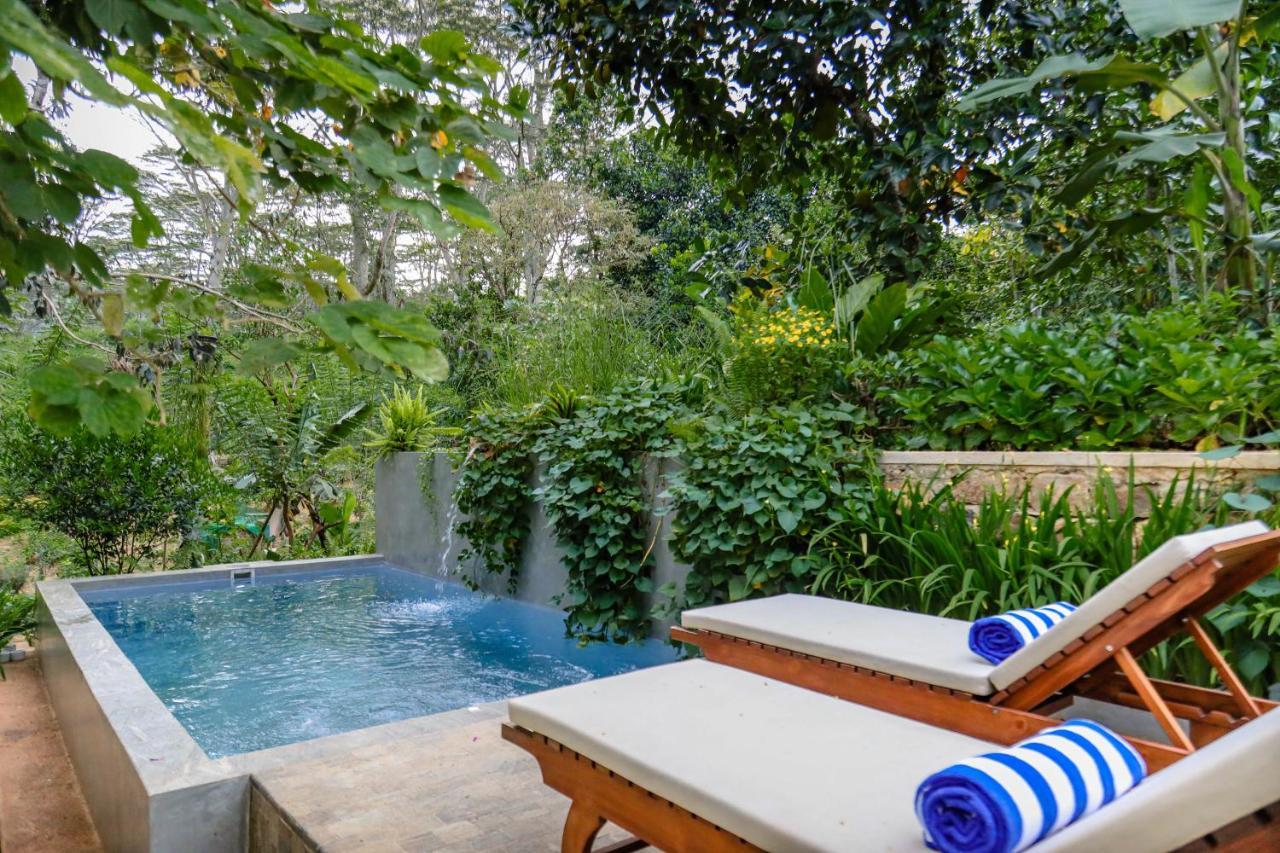 Tranquilisle Hotel Kandy Luaran gambar